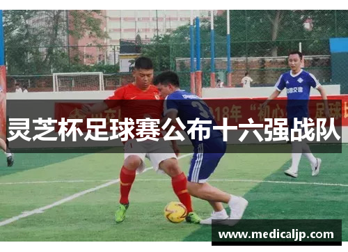 灵芝杯足球赛公布十六强战队